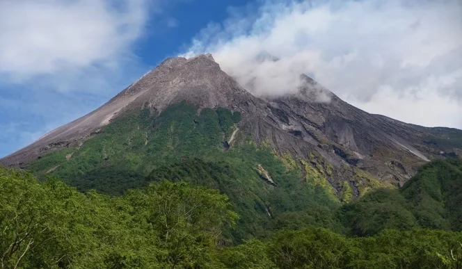 
					Gunung Merapi Luncurkan Guguran Lava Tujuh Kali Dengan Jarak Luncur Maksimum 1,8 Kilometer