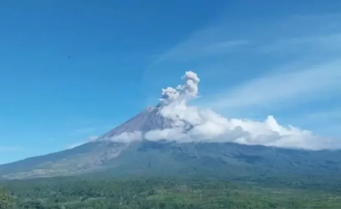 
					Gunung Semeru erupsi dengan letusan setinggi 800 meter di atas puncak 