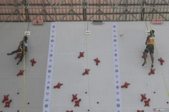 
					IFSC Climbing World Cup 2025 Kembali Digelar di Indonesia, Bali Siap Jadi Tuan Rumah