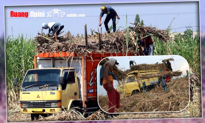 
					Menuju Swasembada Gula, Produksi Nasional Tunjukkan Tren Positif